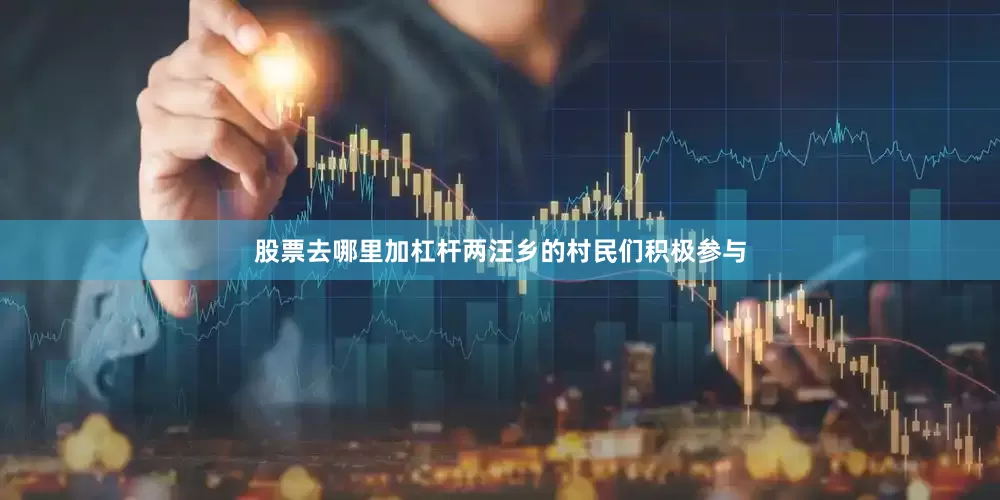 股票去哪里加杠杆两汪乡的村民们积极参与