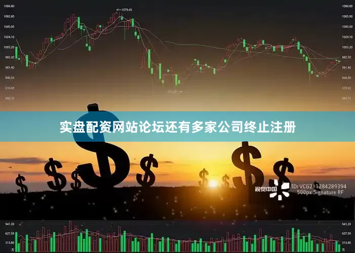实盘配资网站论坛还有多家公司终止注册