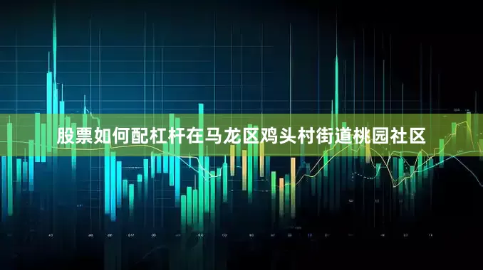 股票如何配杠杆在马龙区鸡头村街道桃园社区