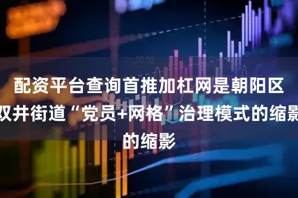 配资平台查询首推加杠网是朝阳区双井街道“党员+网格”治理模式的缩影