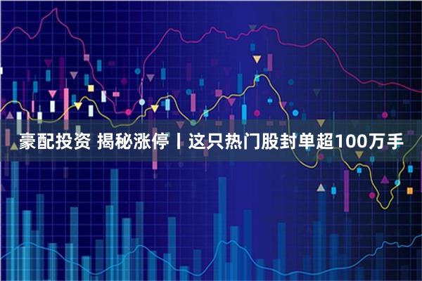 豪配投资 揭秘涨停丨这只热门股封单超100万手
