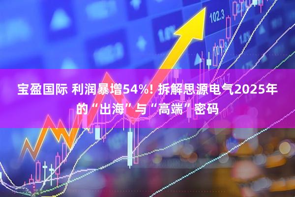 宝盈国际 利润暴增54%! 拆解思源电气2025年的“出海”与“高端”密码