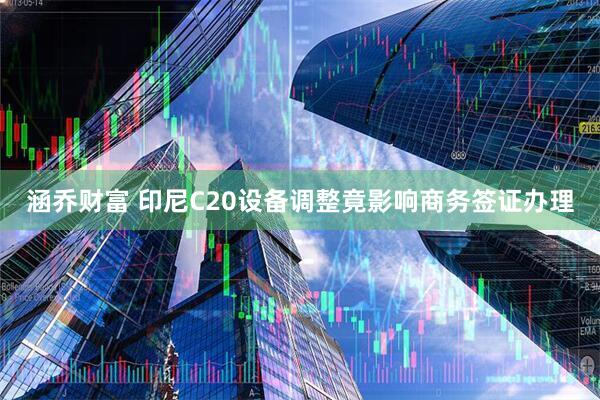 涵乔财富 印尼C20设备调整竟影响商务签证办理