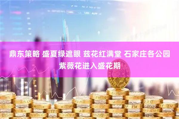 鼎东策略 盛夏绿遮眼 兹花红满堂 石家庄各公园紫薇花进入盛花期
